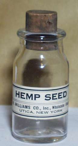 HEMP SEED OIL