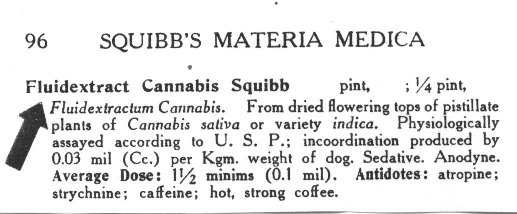 Squibb96.jpg
