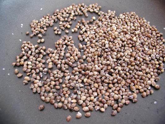 hemp seed